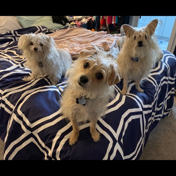 Meet your Posher, Kelly - Picture 2 of 2